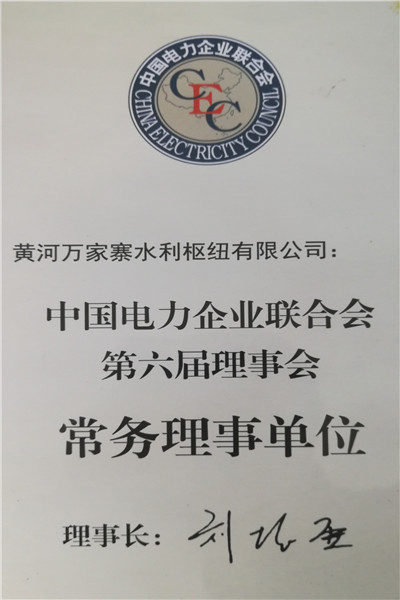 中国电力企业联合会第六届常务理事会员.jpg